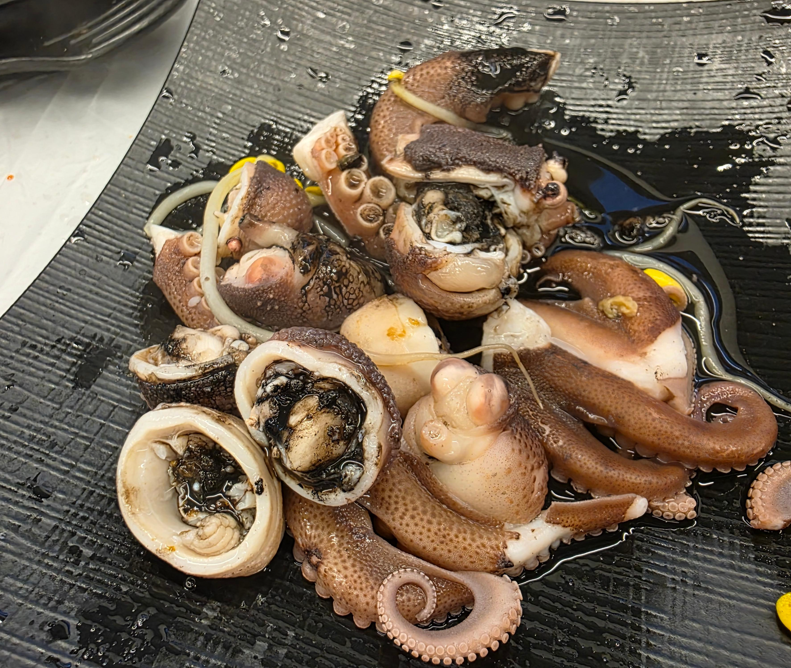 도안수산시장 가수원동 도안동 횟집 쭈꾸미 가격 주차 웨이팅 21