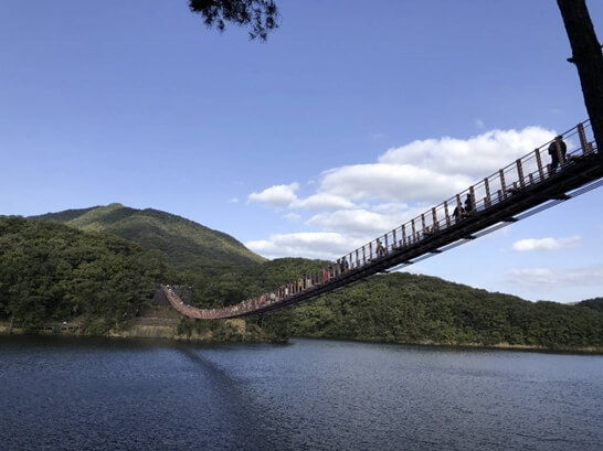 마장호수출렁다리-파주-가볼만한곳-추천