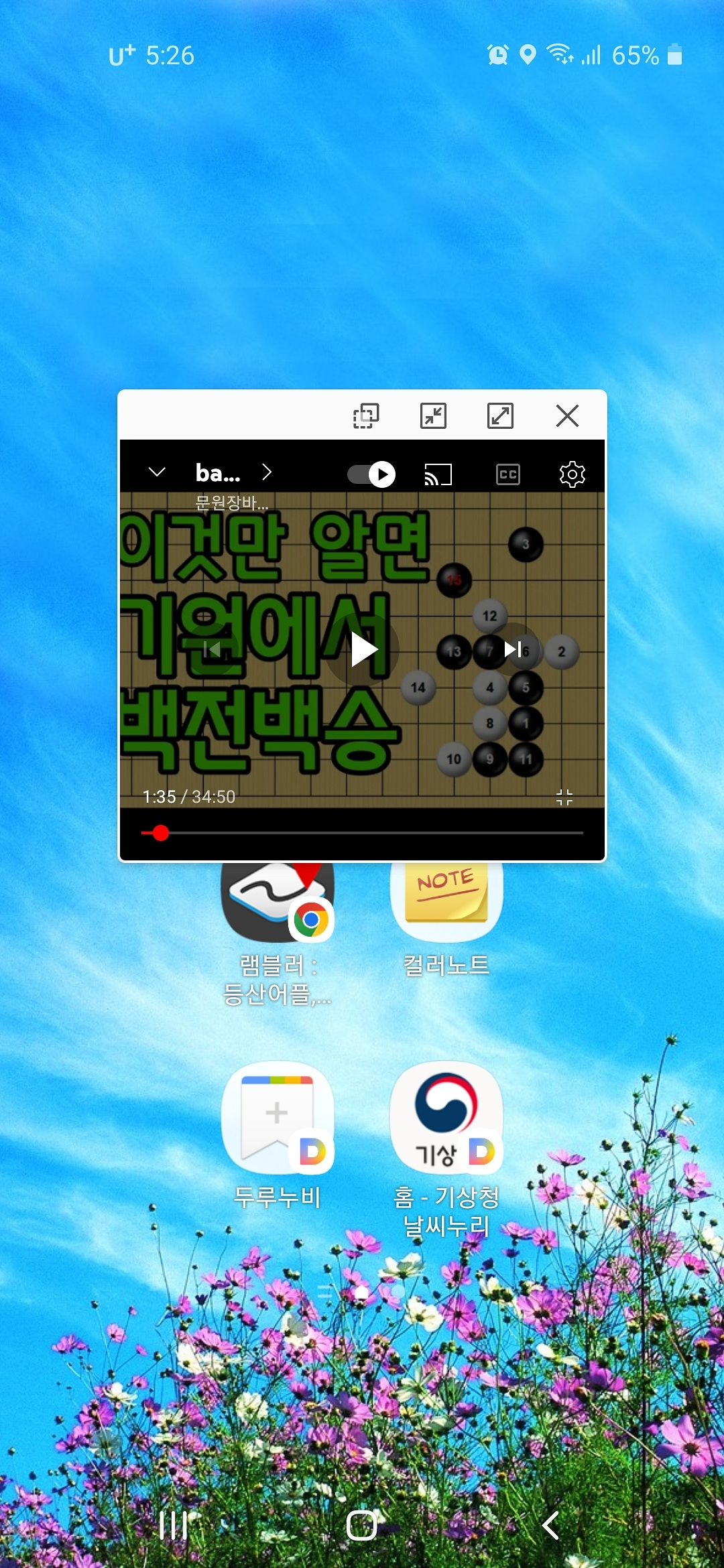 팝업 화면 크기 조절