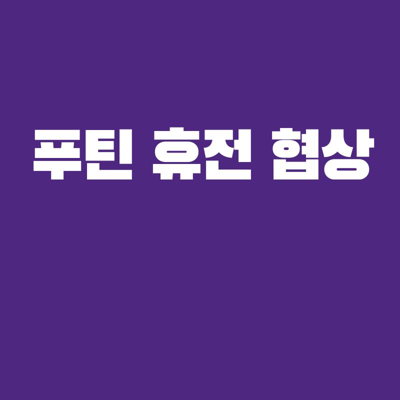 푸틴 일시휴전