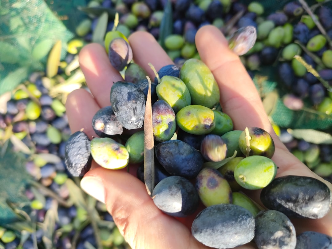 Olive oil