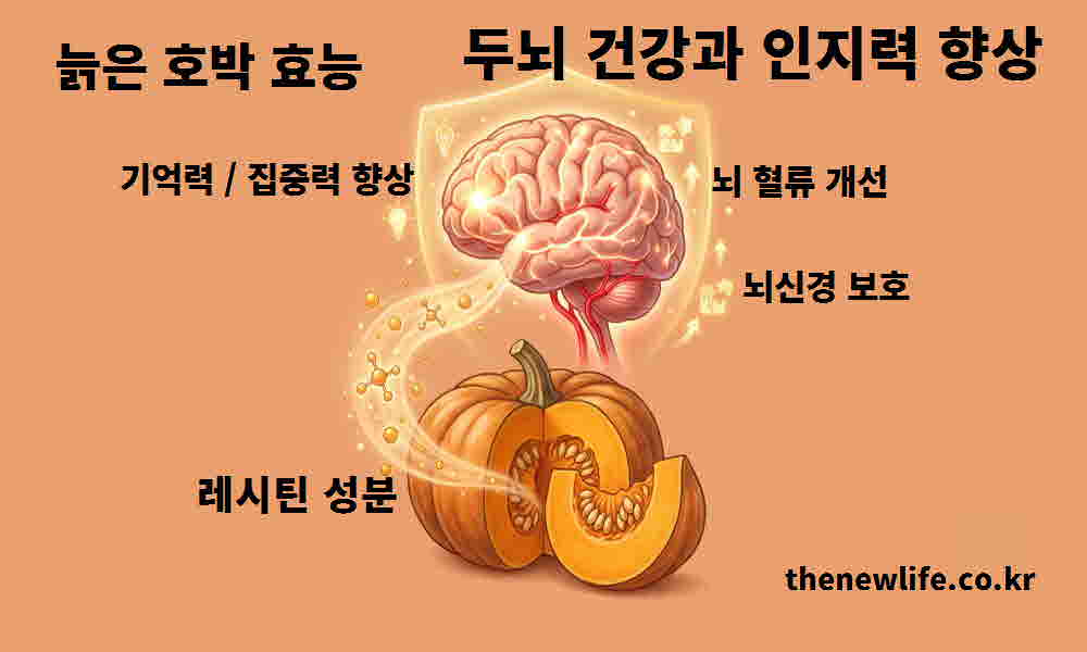 늙은 호박 효능 두뇌 건강 인지력 향상