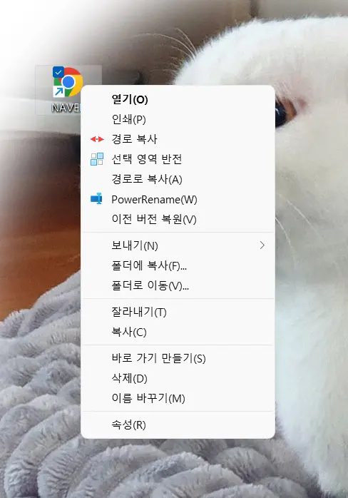 크롬에서 웹사이트를 시작 화면 및 작업 표시줄에 고정하기_4