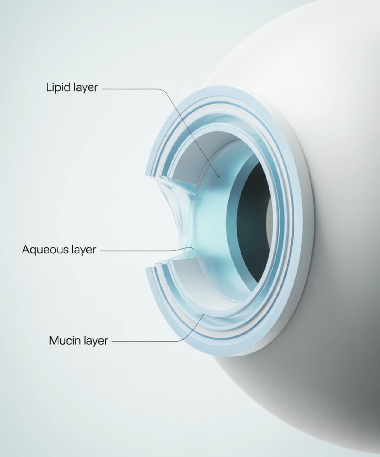 내 눈물은 &amp;#39;3층짜리 보호막&amp;#39;