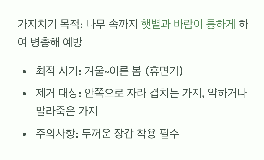 최소한의 손길&amp;#44; 건강을 위한 가지치기