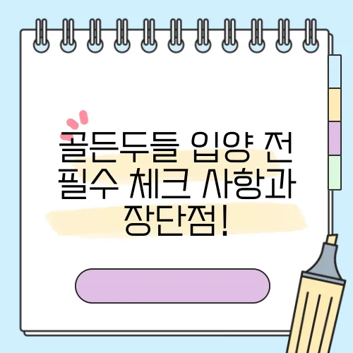 골든두들 입양 전 필수 체크 사항과 장단점!