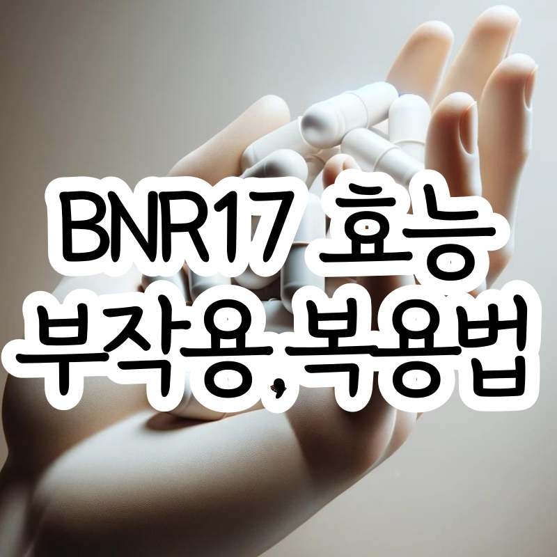 BNR17 효능 부작용 복용법 썸네일
