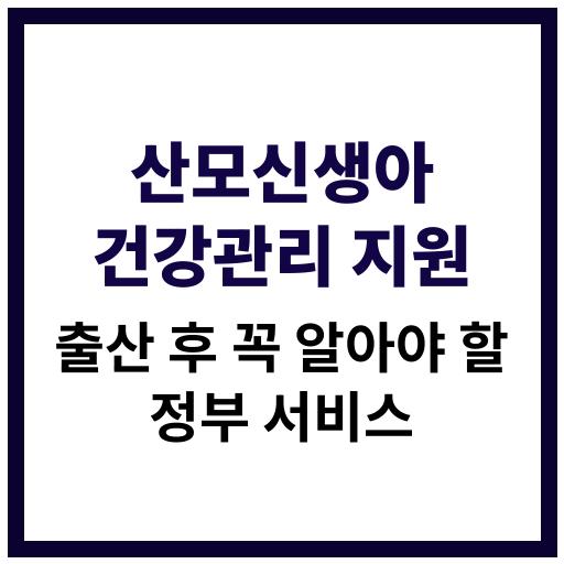 산모와 신생아를 위한 정부의 건강관리 지원 제도 및 신청 방법 안내