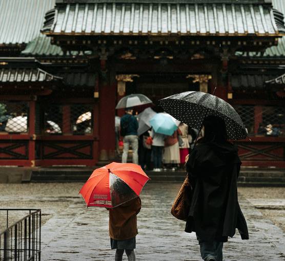 2025 장마 기간, 지역별 예상 일정