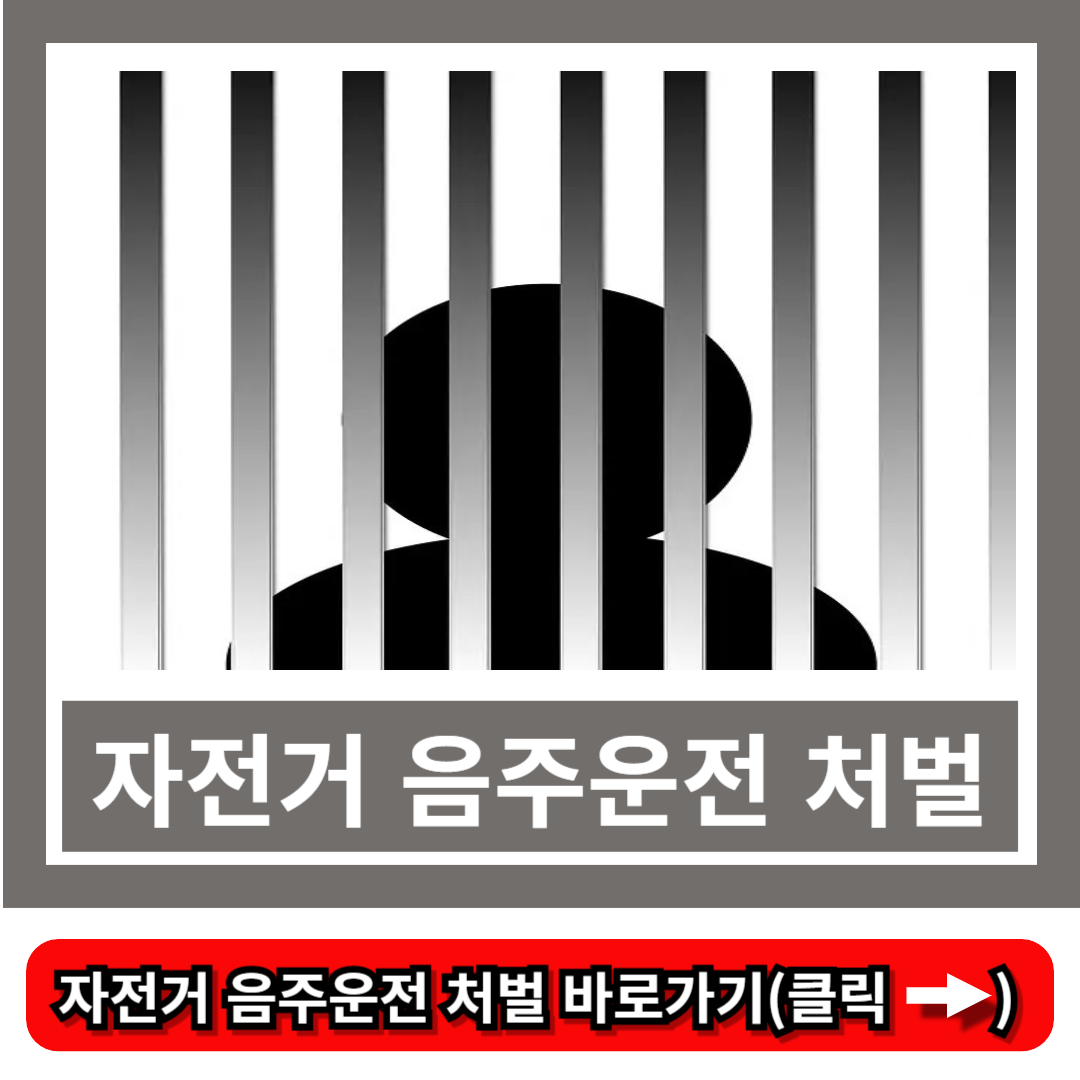 자전거 음주운전 처벌