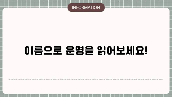이름 사주풀이