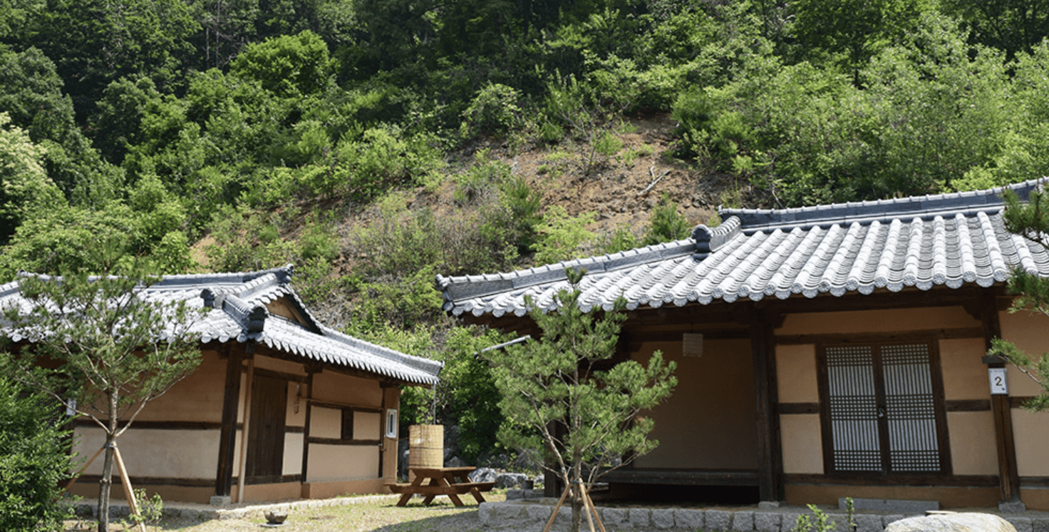 양평 남겨서 뭐 하게 맑은숲캠프