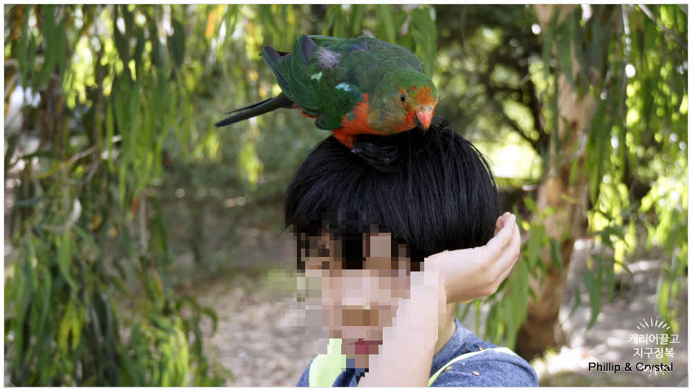 대표사진