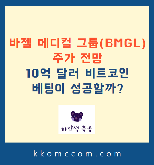 바젤 메디컬 그룹 주가 전망 관련 포스팅 썸네일