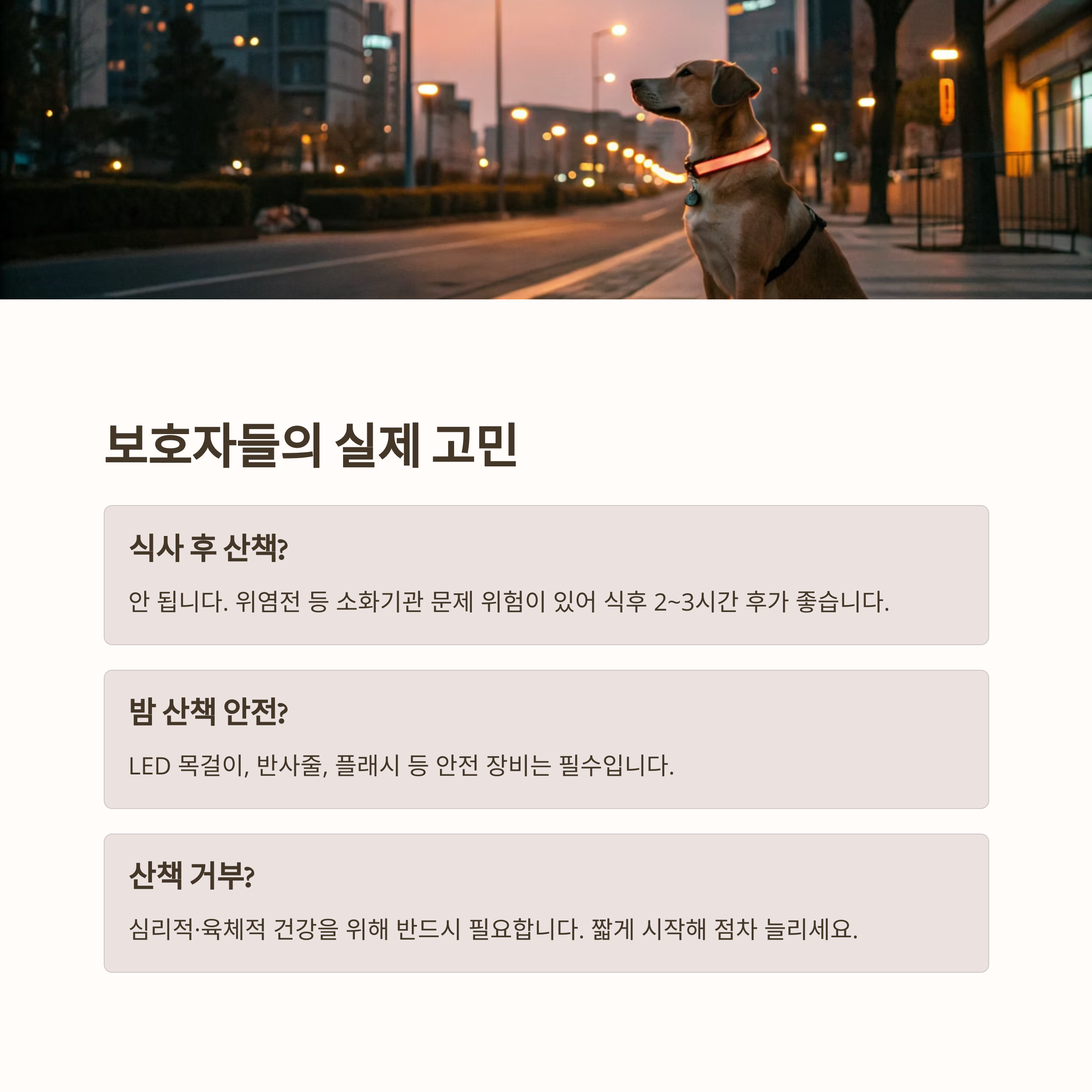 보호자들의 실제 고민