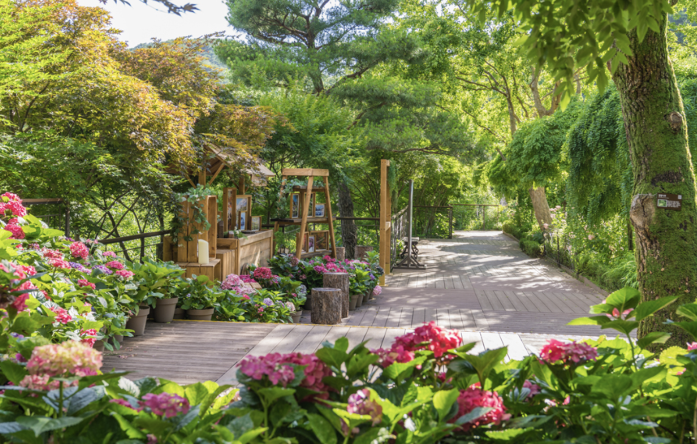 화담숲 화담채 모노레일 사전 예약&amp;#44; 할인받고 예매 하기