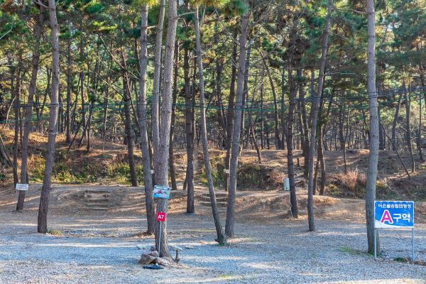 캠핑장a구역