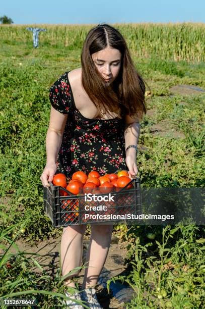 도시 농업을 활용한 로컬 푸드 시스템 구축하기