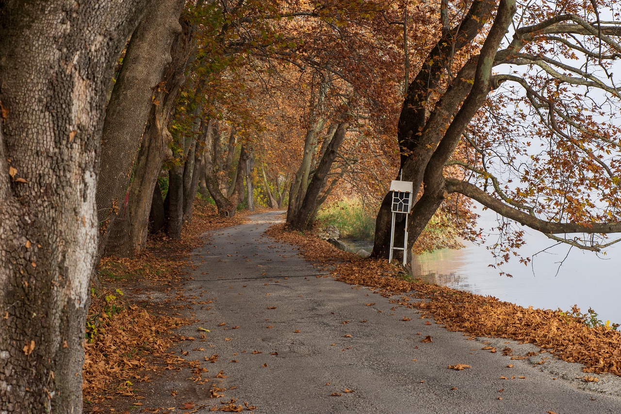 부드러운 흙길에서 맨발 걷기