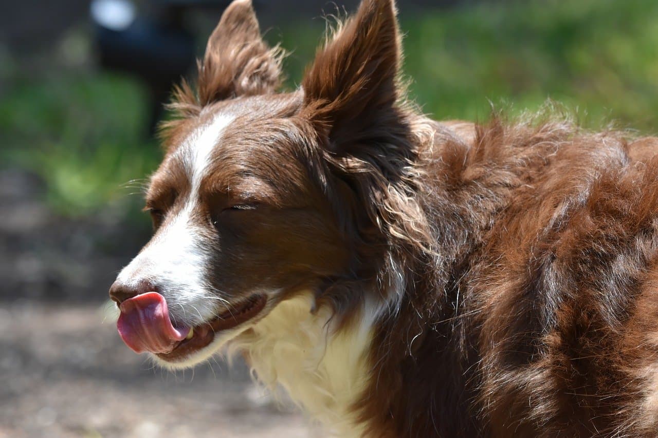 환절기 알레르기성 비염, 원인부터 완화까지! 중장년층이 알아야 할 생활 관리법