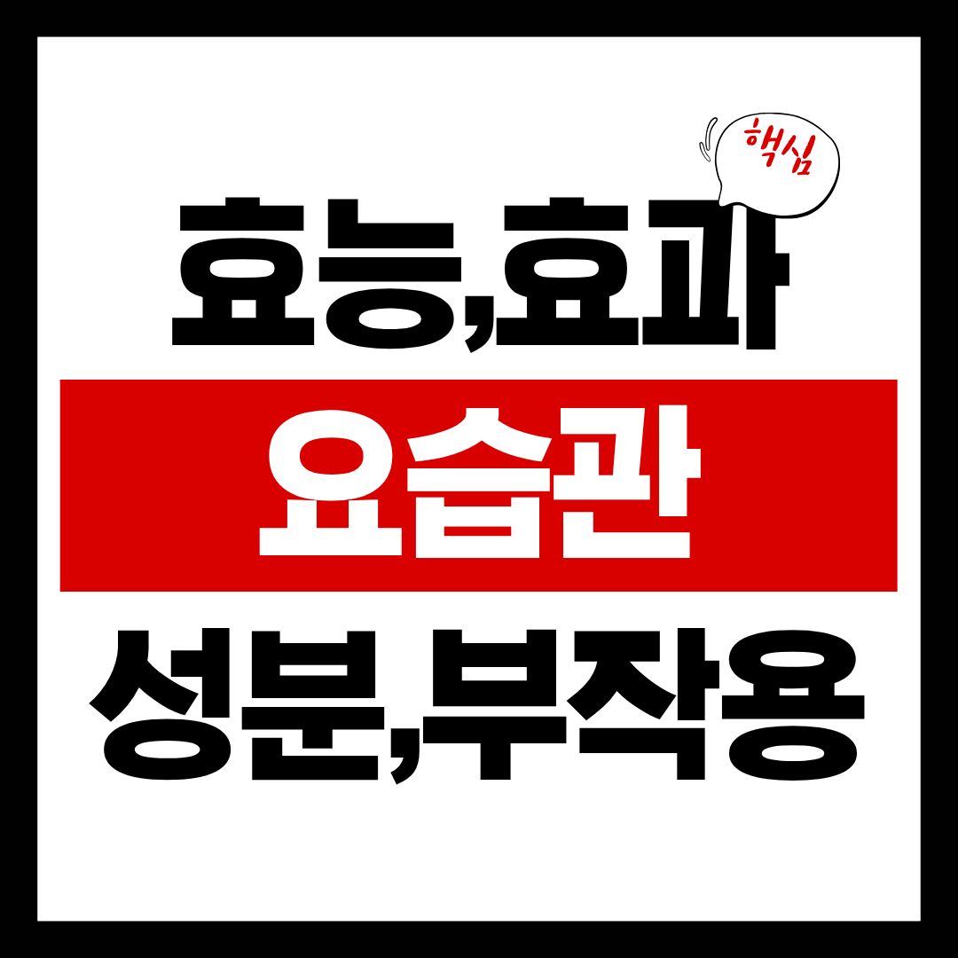 요습관-썸네일