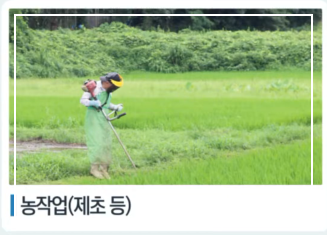 쯔쯔가무시 초기증상 치료방법