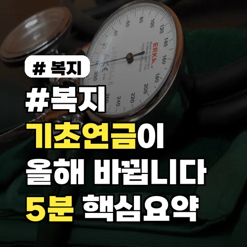 올해 기초연금 바뀐다 인상 대상 확대 핵심 포인트 5분 정리