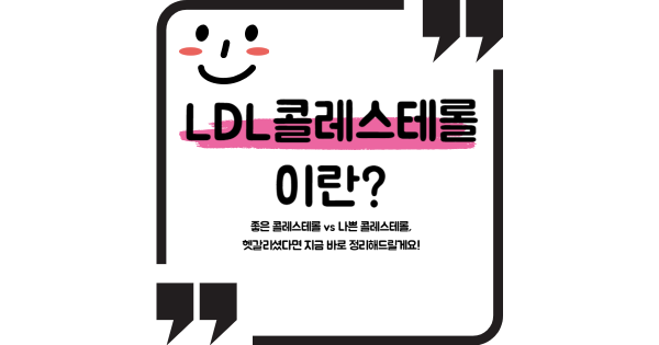 ldl콜레스테롤 이란