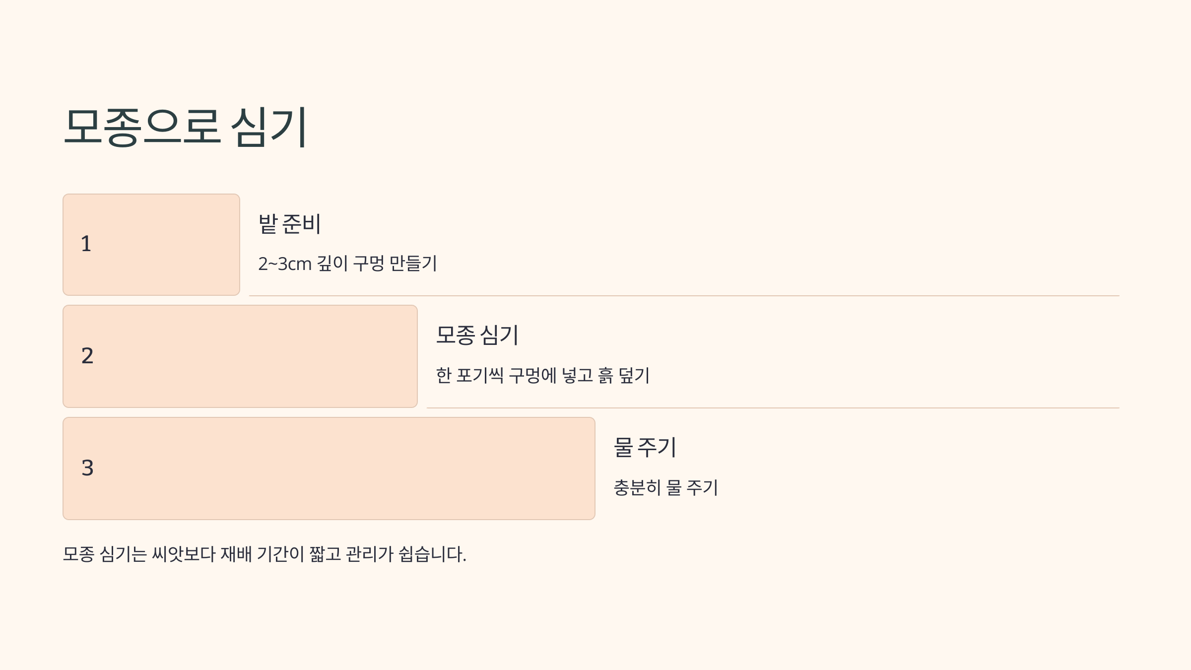 양파 사진입니다.