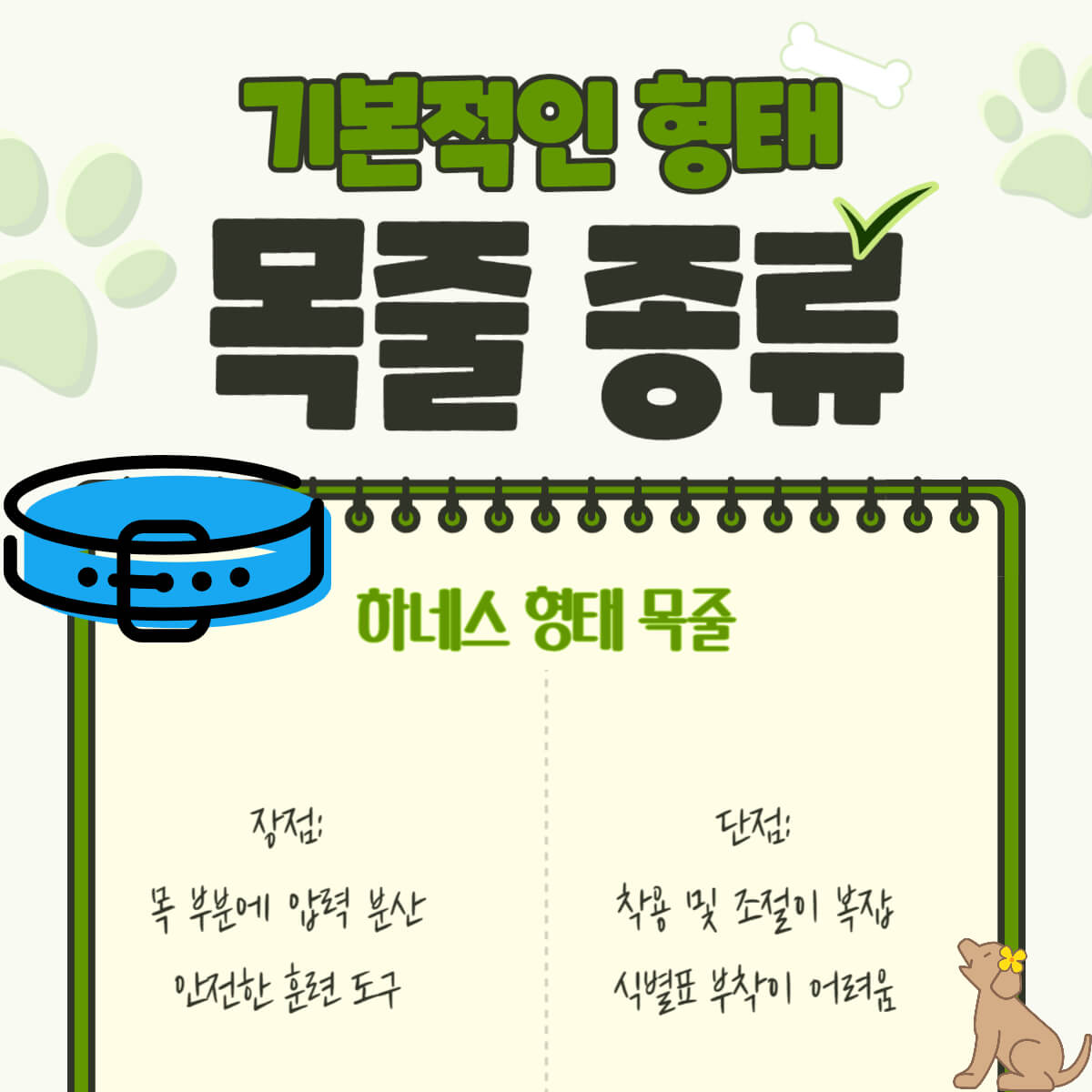 강아지 반려견 목줄 종류 특징 추천