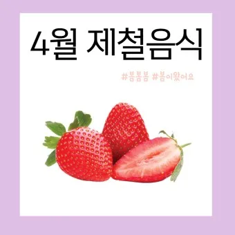 4월 제철음식 제철 생선 과일 채소 모음_19