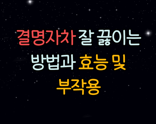 결명자차 효능 및 부작용