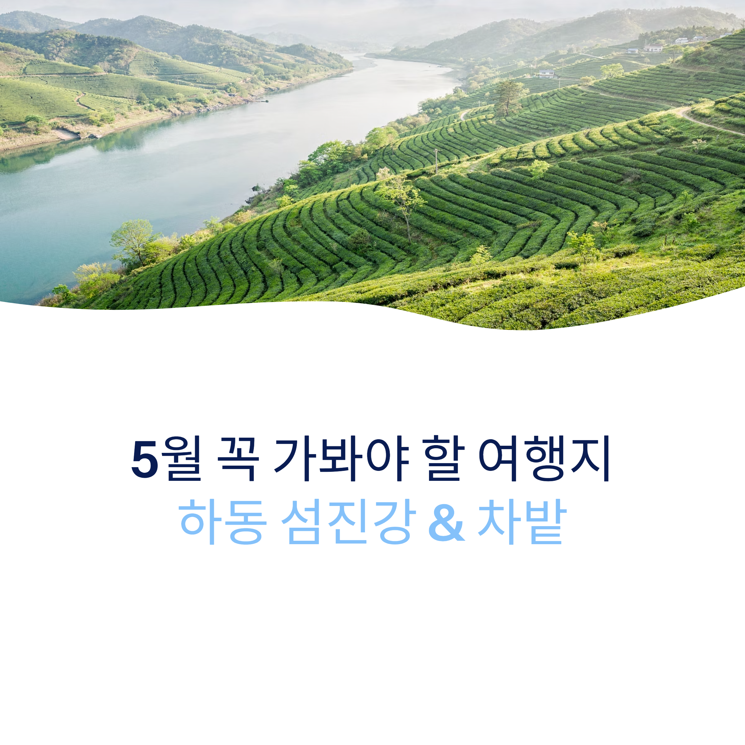 5월 꼭 가봐야 할 여행지 하동 섬진강과 차밭 추천