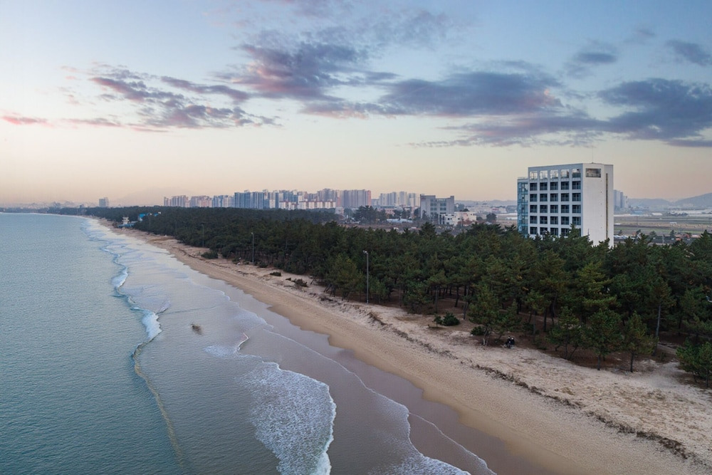 강릉 하운드 더 블루 호텔｜오션뷰&middot;넷플릭스&middot;카페까지&amp;#44; 할인 혜택으로 가성비 숙소 예약하기!