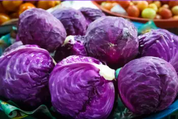 양배추 효능 및 부작용&amp;#44; 영양성분