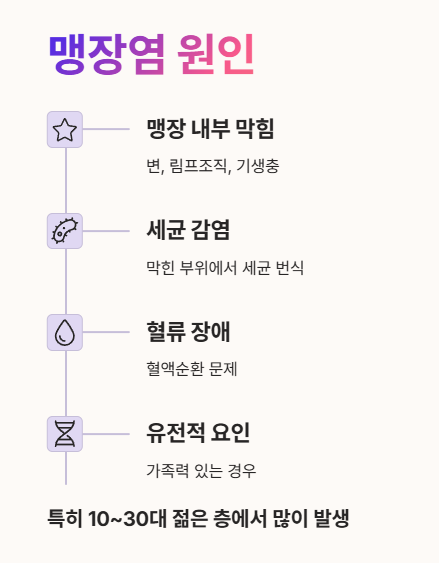 맹장염 원인 설명하는 이미지