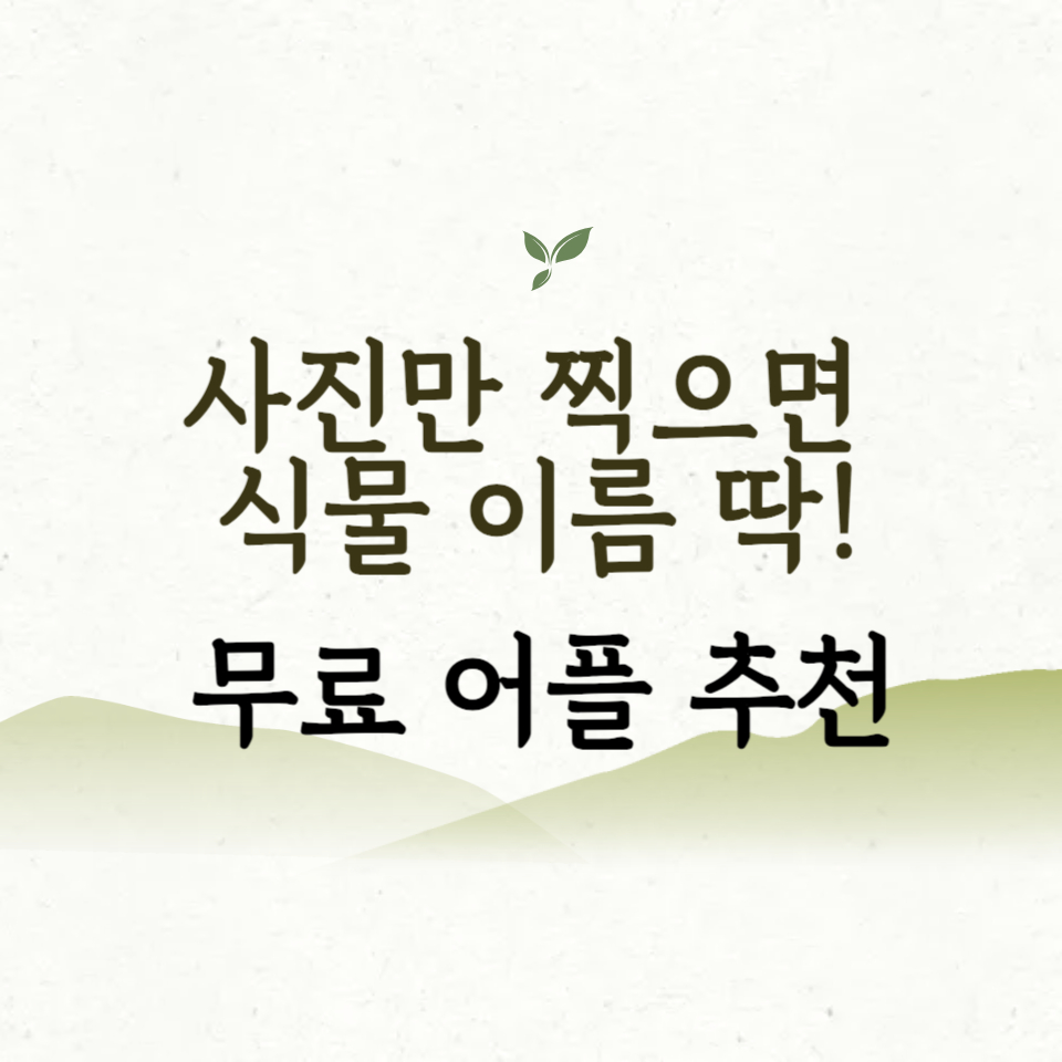 사진으로 식물이름 찾기 무료 어플 다운로드/추천