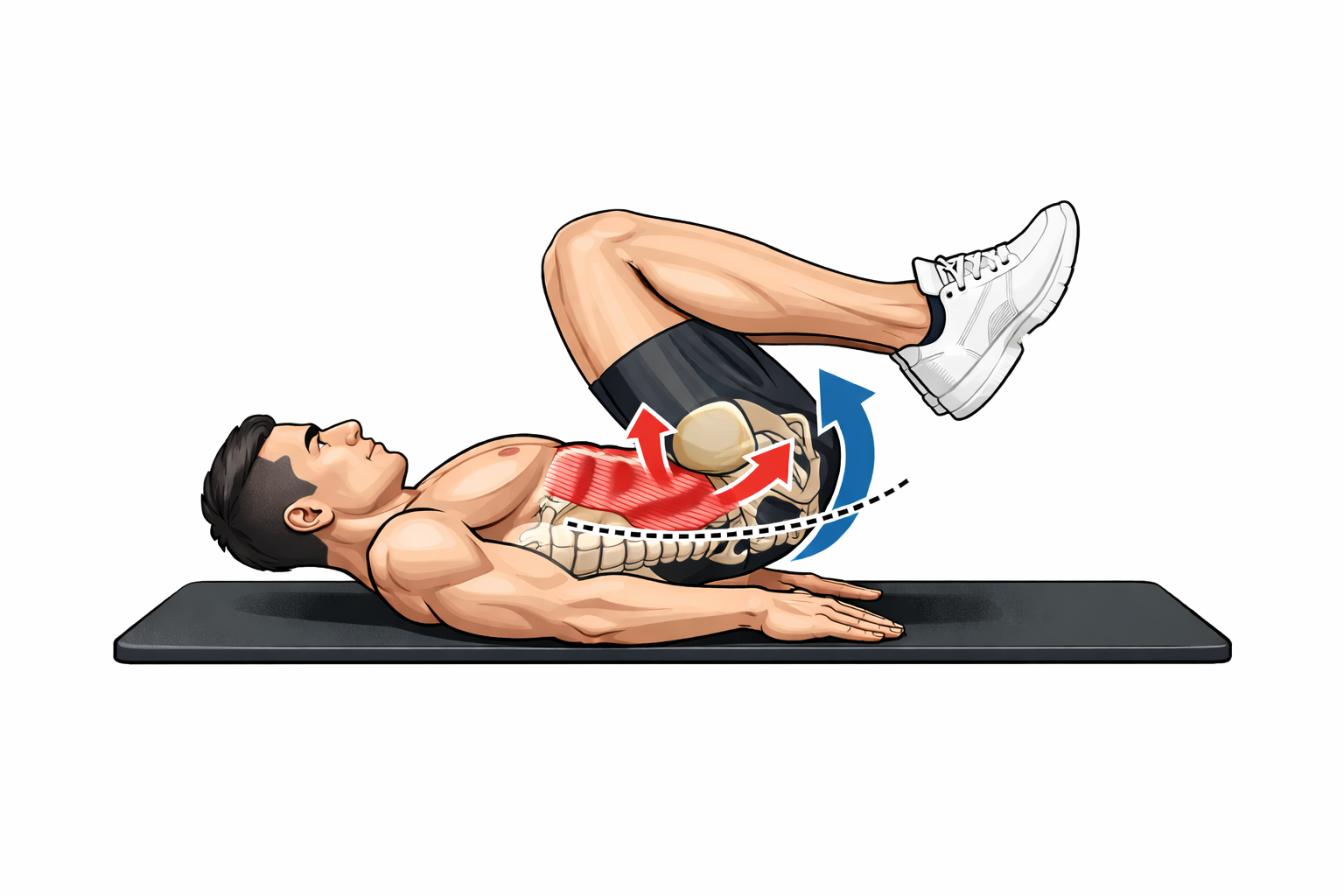 리버스 크런치 골반 후방 회전