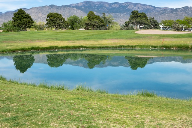 호수에 비친 나무