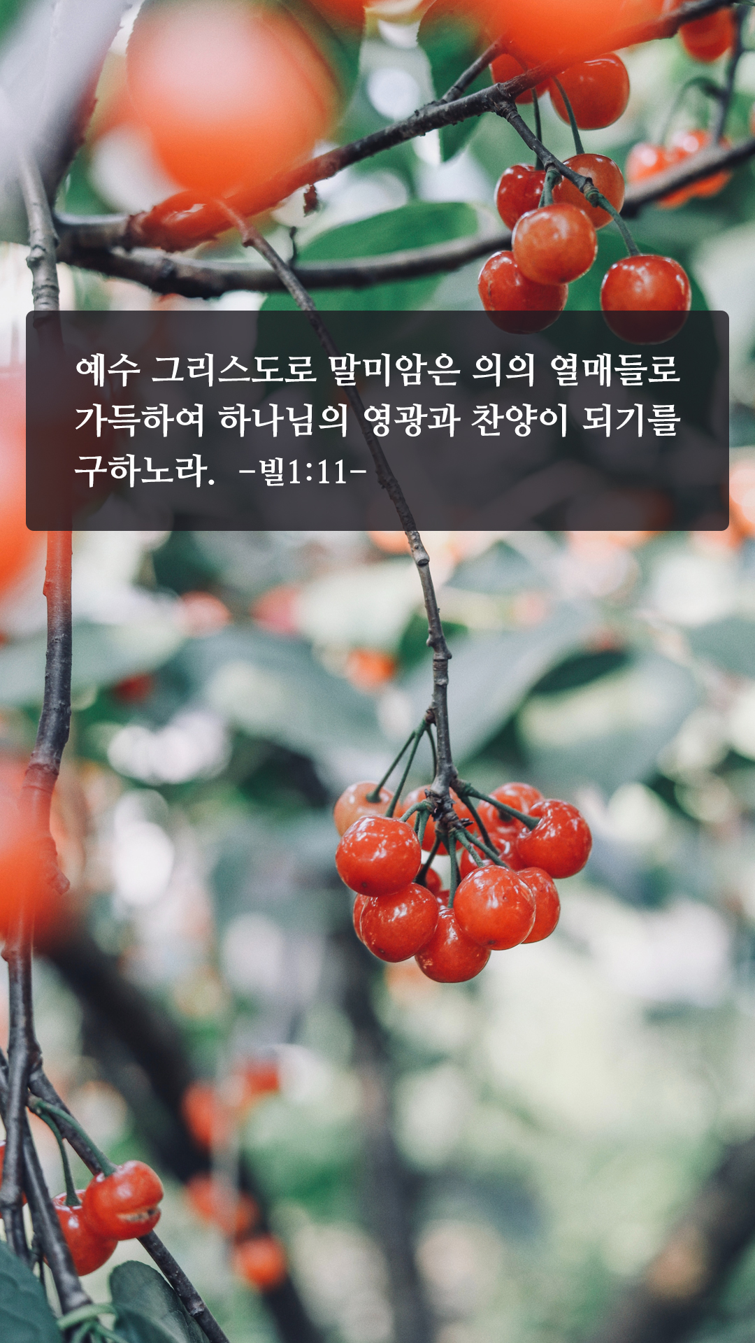 좋은 성경구절 배경화면