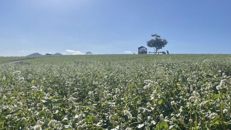 보리나라 학원농장