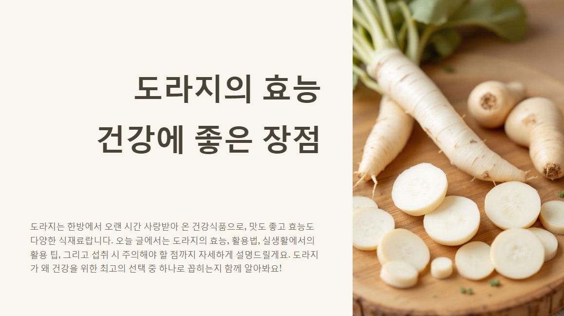 도라지의 효능 건강에 좋은 장점