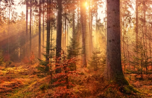 트래블로그 체크카드 사용방법 발급