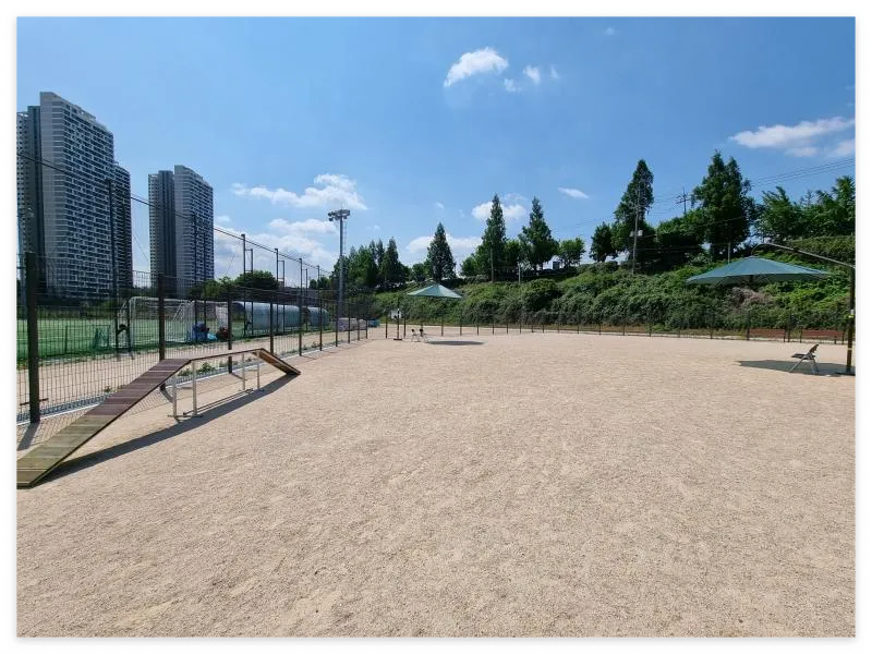 송파 반려견 놀이터