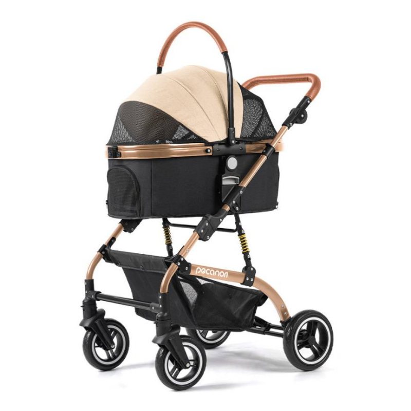 반려인능력시험