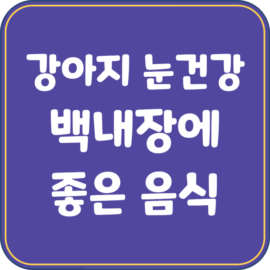 강아지 백내장에 좋은 음식