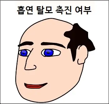 흡연 탈모 촉진 여부