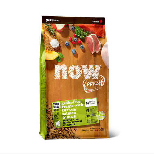 나우 프레쉬 스몰브리드 어덜트