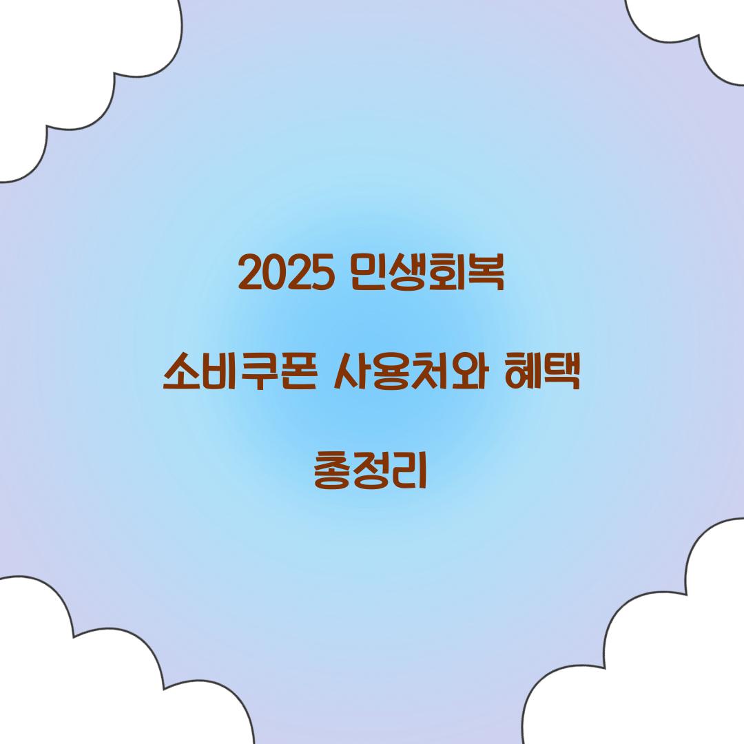 2025 민생회복 소비쿠폰 사용처