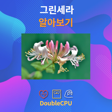 그린세라 알아보기